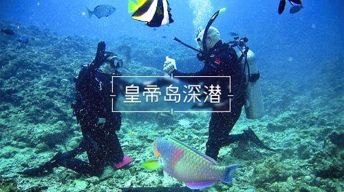 女生说那你把我当你养的电子宠物了什么意思？