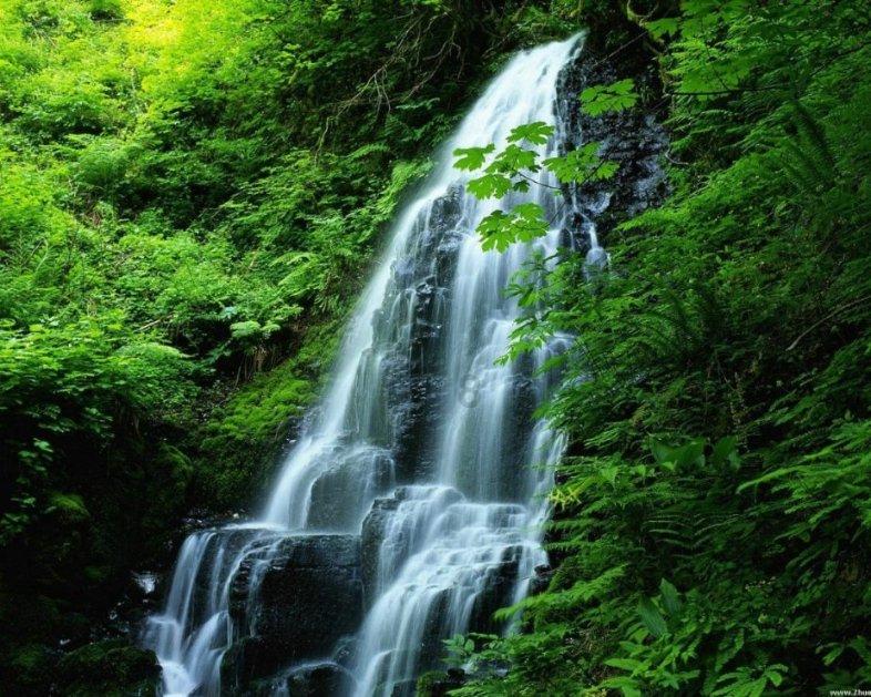 海滩棚屋逃生