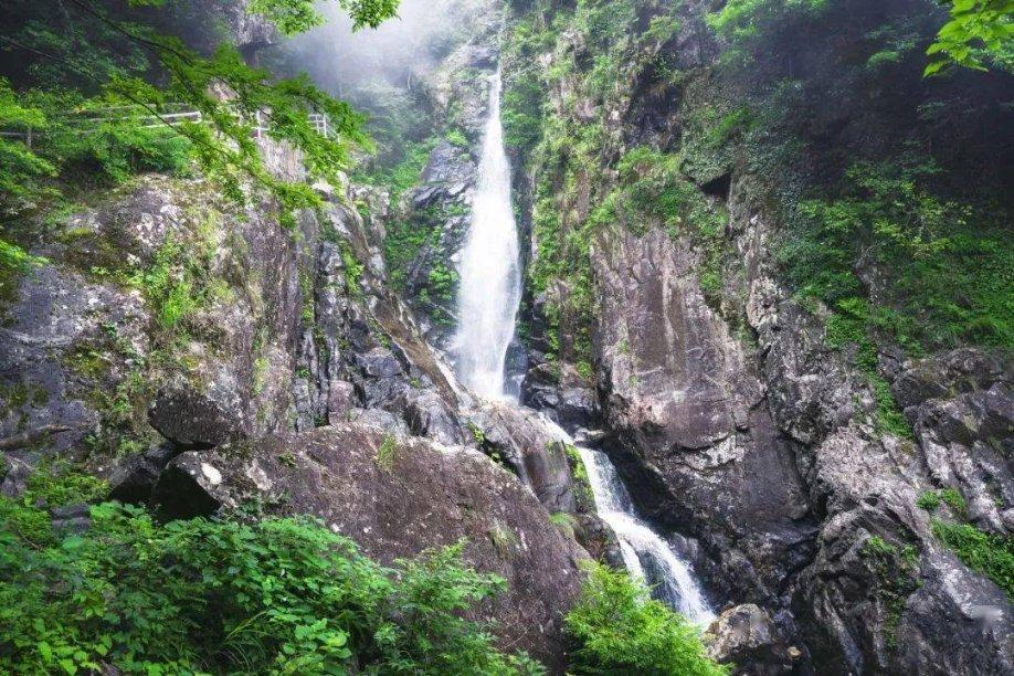 “预制年夜菜”广告太阴间,评论区揭开无数心酸:不给打工人活路